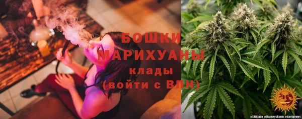 Альфа ПВП Горнозаводск