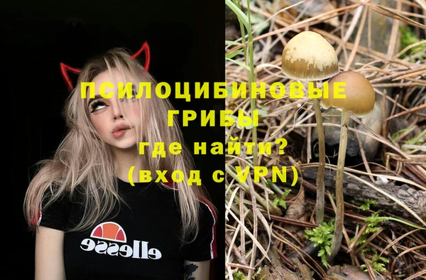 не бодяженный Приозерск